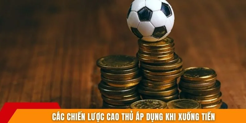 Các chiến lược cao thủ áp dụng khi xuống tiền